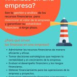 descubre lo que hace un financista en una empresa claves y responsabilidades