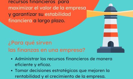 descubre lo que hace un financista en una empresa claves y responsabilidades