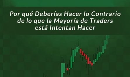 descubre quien es el trader mas rentable secretos y estrategias de exito